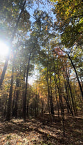 Events Hiking Day Pass
