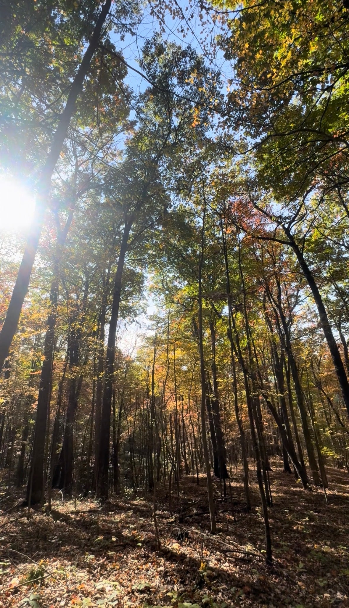Events Hiking Day Pass