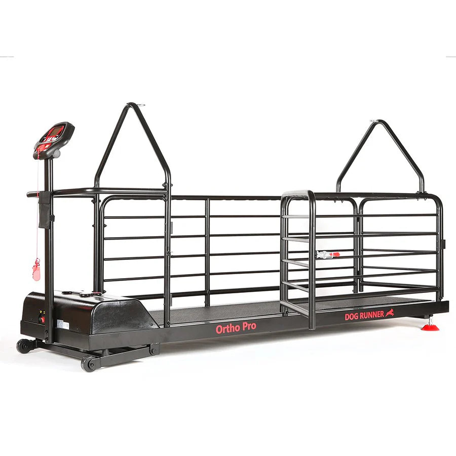 Orthopedic Dog Runner Canine Conditioning Treadmill Sessions