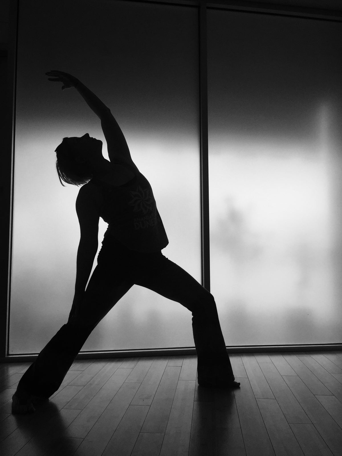 Yoga + Stretching Class for Handlers